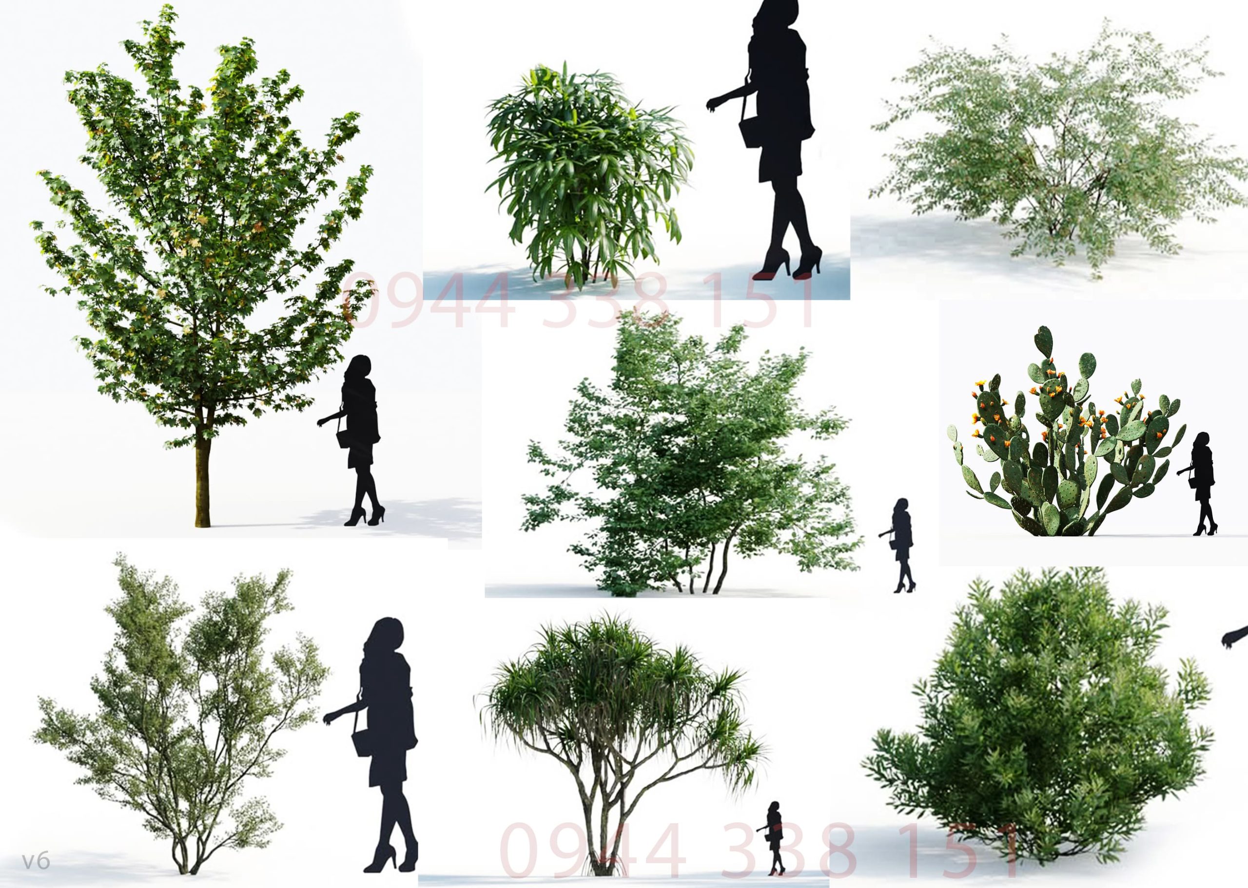 thu-vien-cay-dep-sketchup