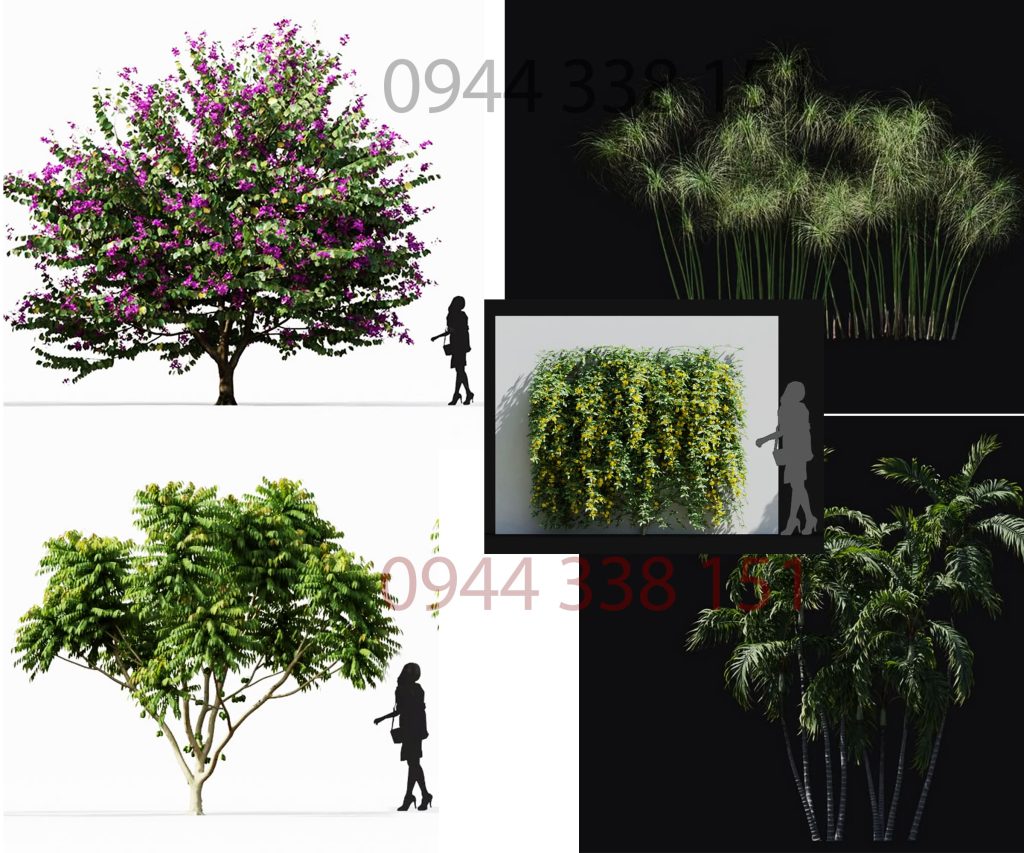 thu-vien-cay-sketchup thu-vien-cay-sketchup